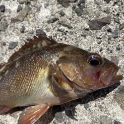 港でガヤ祭り！！