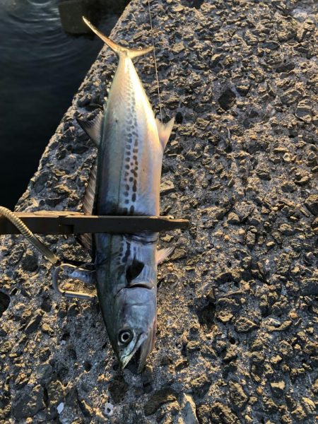 ラッシュタイムに悲劇が