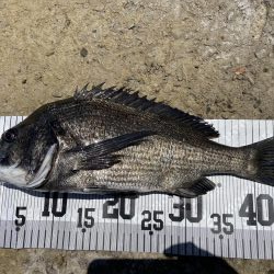 イチノ兄弟、釣果！