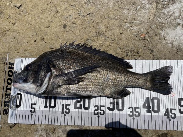 イチノ兄弟、釣果！