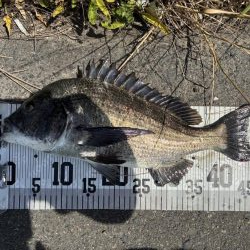 イチノ兄弟、釣果！