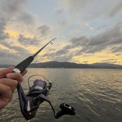 1匹キャッチ後、連発でバラシ、、