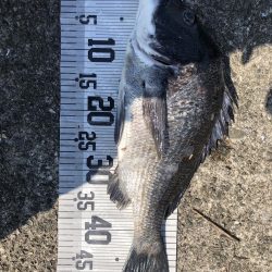 イチノ兄弟、釣果！