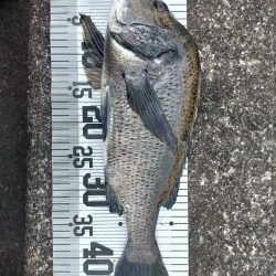 イチノ兄弟、釣果！