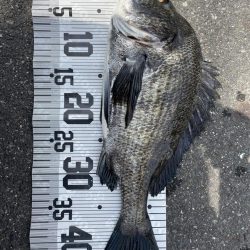 イチノ兄弟、釣果！