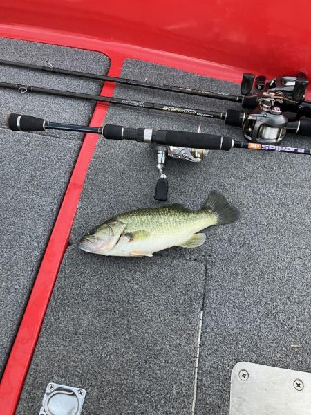 北山田小バスだらけ