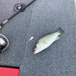 北山田小バス祭り