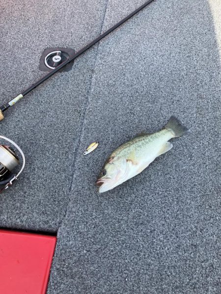 北山田小バス祭り