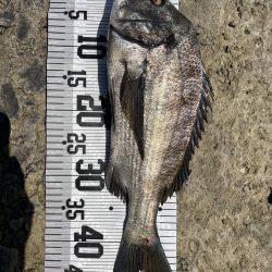 イチノ兄弟、釣果!