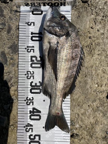 イチノ兄弟、釣果!