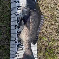 イチノ兄弟、釣果！