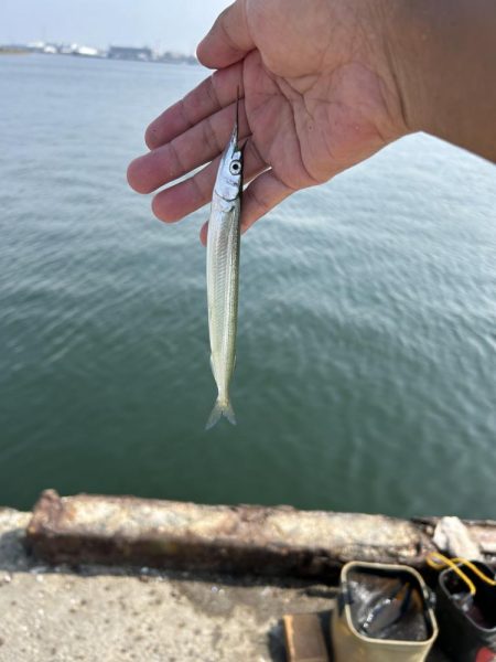 ★★初のトビウオ釣りお土産いっぱい★★