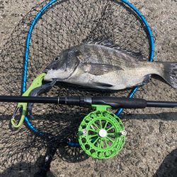 フジツボ•カニで2枚