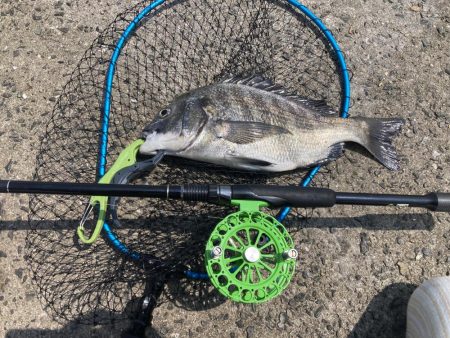 フジツボ•カニで2枚