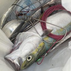 ワインドとショアジギ