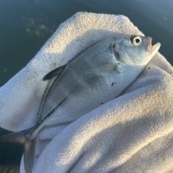 メッキサイズアップ!