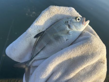 メッキサイズアップ!