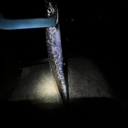 久しぶりの太刀