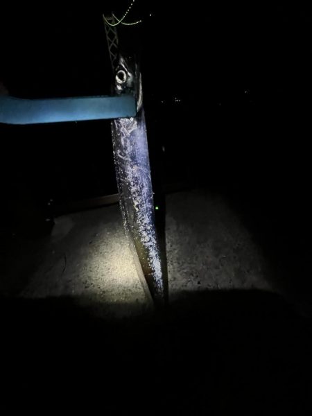 久しぶりの太刀