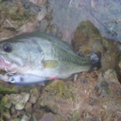 8月18日　一庫ダム釣行