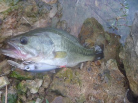 8月18日　一庫ダム釣行