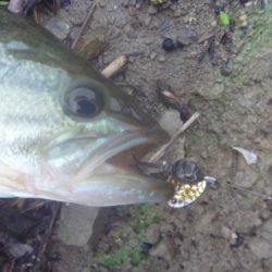 一庫ダム釣行　8月23日