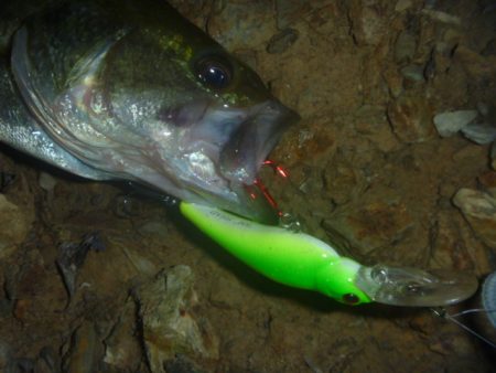 8月27日　一庫ダム釣行