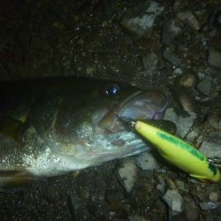 ちょこっとバス釣り