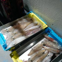 敦賀沖イカメタル