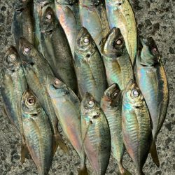 夜の深い時間に