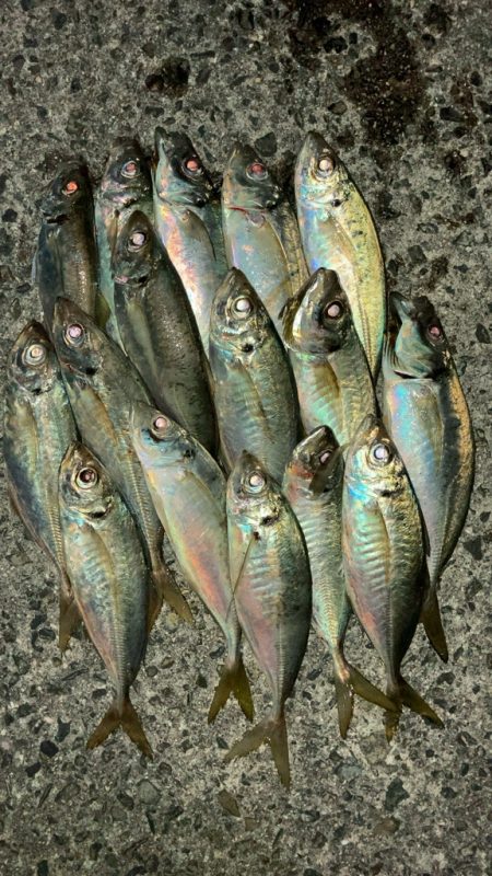 夜の深い時間に