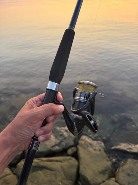 今日は狙い通りツバスでした、が、