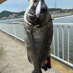 やっぱりチュパゾーいいね!