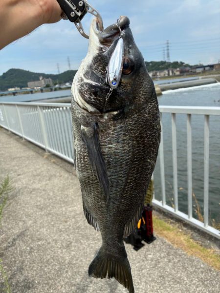 やっぱりチュパゾーいいね!