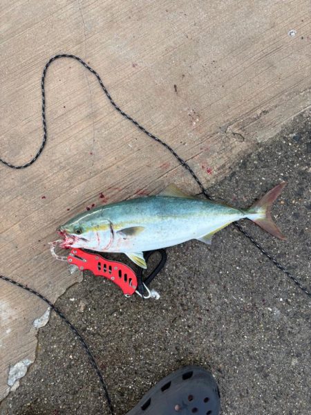 久々の武庫川一文字