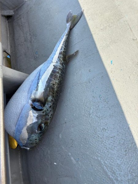 指宿・松風さんにて