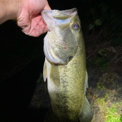 夜なら何とかなります。