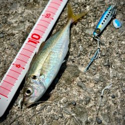 ショアジギング