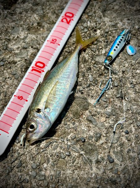 ショアジギング