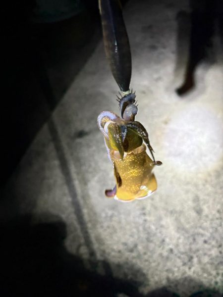 ロック&ベイビー