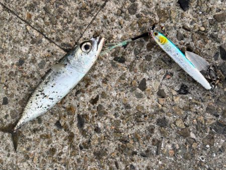 ジグサビキ　21