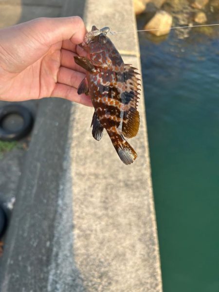 福井隙間時間釣行