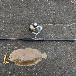 何でもルアー釣り