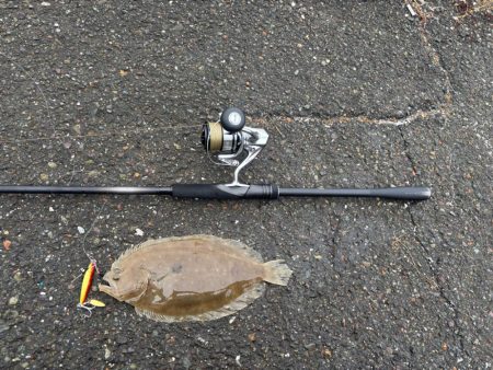 何でもルアー釣り