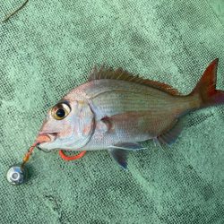 2025.8Mission新潟のつり③