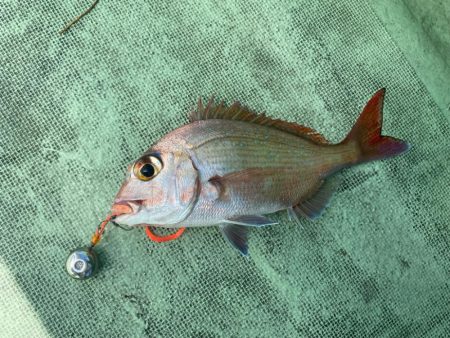 2025.8Mission新潟のつり③