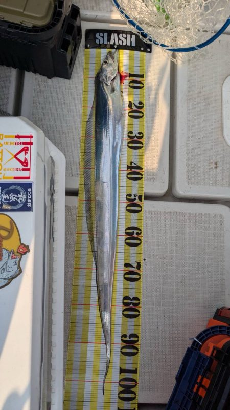 神戸沖でメーターオーバーGET