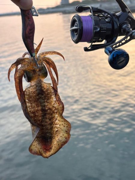 イカ1時間青物1時間その後はポツポツ