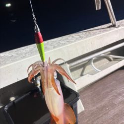 今季ラスト丹後イカメタル