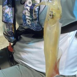 激荒れイカメタル